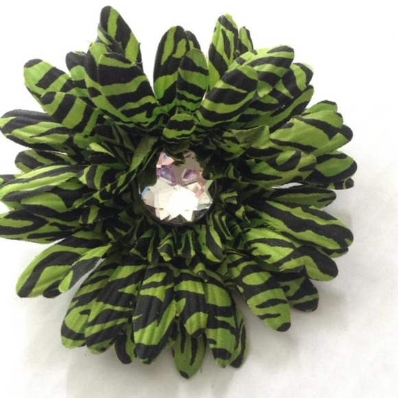 Other - GIRLS Set of 2 Green Zebra Gerbera Hair Clips